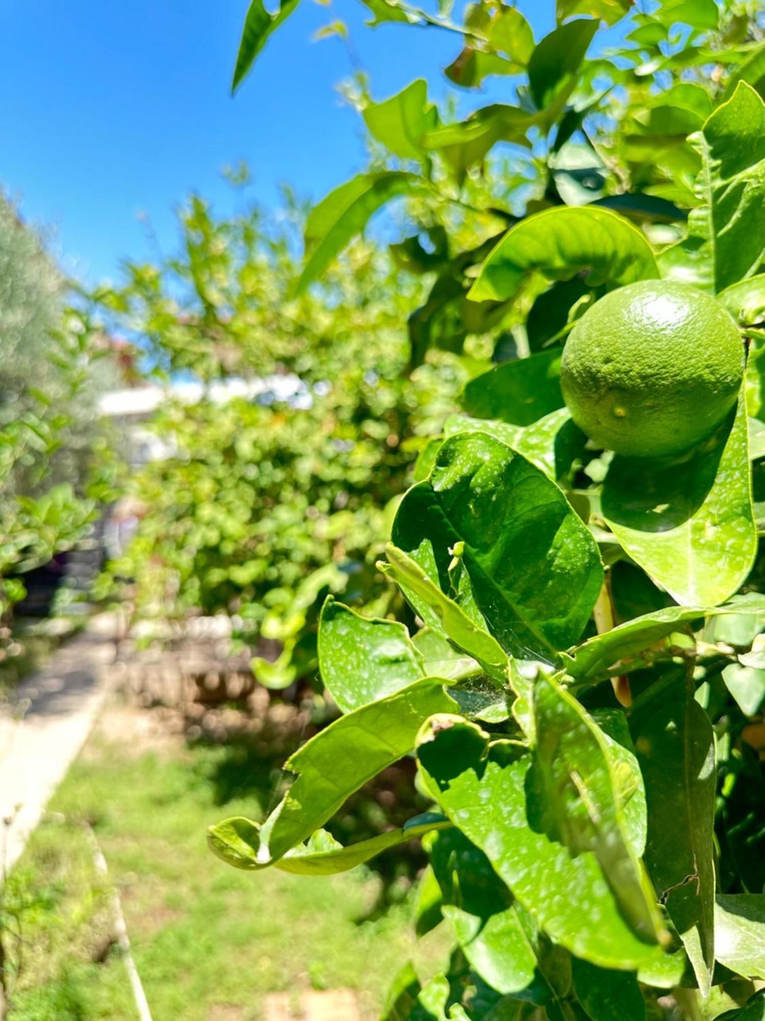 Kaleici Aparts Antalya Villa Exterior foto